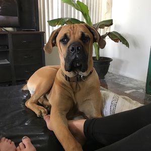 Meet your Posher, Katie